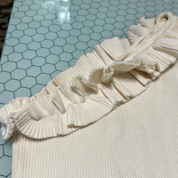 Sofia Vergara Sleeveless Top - Picture 3 of 4